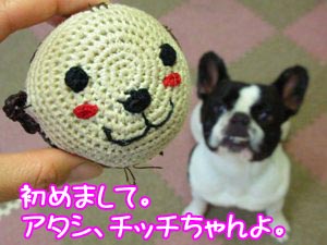 ¡Ö¥â¥ó¥Á¥Ã¥Á¡×¤Î¥Á¥Ã¥Á¤è¢ö