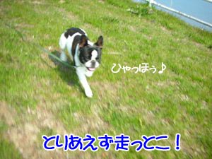 ¡Ö¤È¤ê¤¢¤¨¤º¥Ó¡¼¥ë¡×¤ÈƱ¤¸¤ä¡£