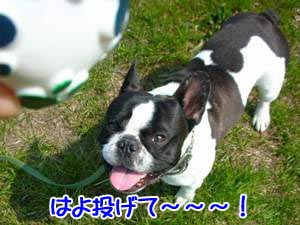 ¤ä¤Ã¤¿¤Í¡ª¤×¤Ô¤Ý¤Á¤ã¤ó¤ä¡ª