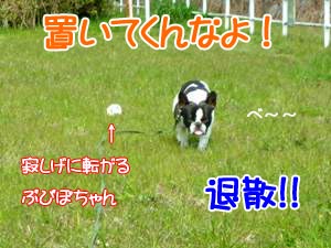 Äɤ¤¤Ä¤¤¤¿¤é¤½¤ì¤Ç¤¨¤¨¤Í¤ó¡£