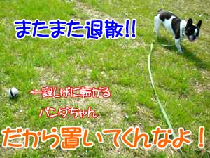 ¤µ¤¤¤Ê¤é¡¼¤Ã