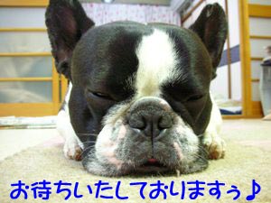 º£¤«¤é³Ú¤·¤ß¤Ë¤·¤Æ¤Þ¤¹¡ª