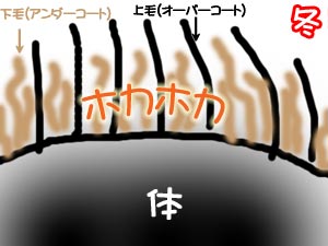 Åß»ÅÍÍ¡Á