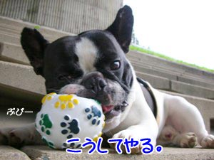 ¤Þ¤º¤Ï·Ú¤¯¥Ï¥à¥Ï¥à¡£