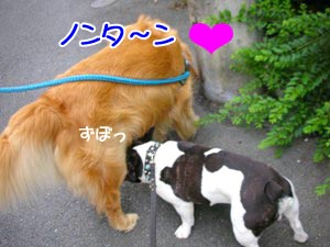 ¥é¥Ã¥¡¼¡ù