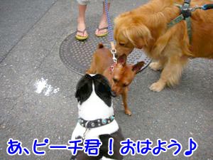 µ×¤·¤Ö¤ê¤ä¤ó¢ö