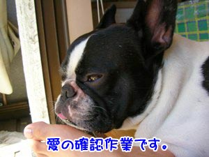 ɤßÉÕ¤¤Ë¤Ê¤ê¤Þ¤¹¡£
