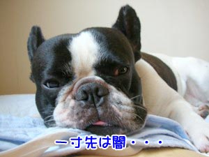 ¤¤¤Ä¤Þ¤Ç¤â¡¡¤¢¤ë¤È»×¤¦¤Ê¿Æ¤È¶â¤È·ò¹¯