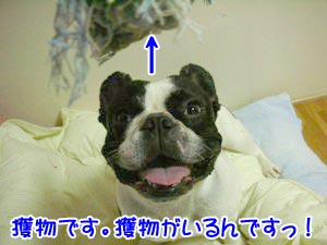 ޳޷ެޝ¡ù