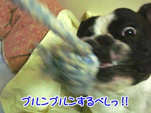 ¥¢¥¿¥¿¥¿¥¿¥¿¥¿¥¿¡¼!!