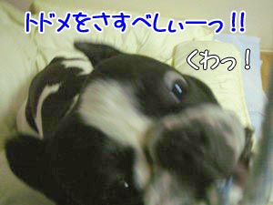 ¤Ò¤Ç¤Ö¡¼¤Ã¡ª¡ª