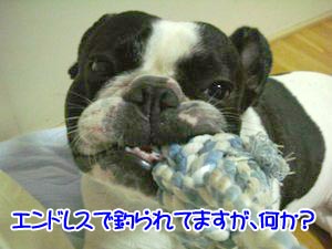 ¤á¤Ã¤µ¿ò¹â¤Ê¼ñÌ£¤ä¤Ç¡£
