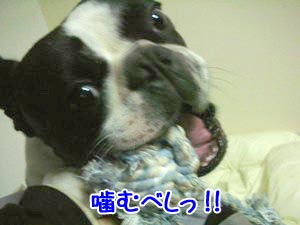 ¤ªÁ°¤Ï¤â¤¦»à¤ó¤Ç¤¤¤ë¡£