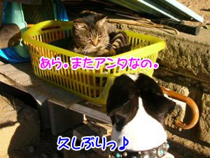 ¥Ù¥Ã¥É¤¬¿·¤·¤¯¤Ê¤Ã¤Æ¤ë¤ä¤ó¡ª