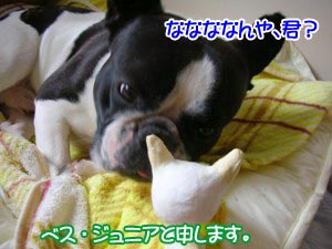 ¤ª½é¤Ë¤ªÌܤˤ«¤«¤ê¤Þ¤¹