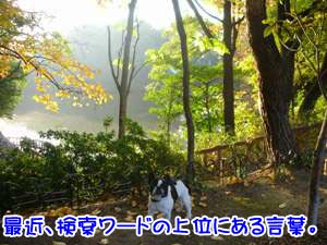 ¥Ò¥ó¥È¤Ï¤³¤Î¾ì½ê¤Ç¤¹¡£