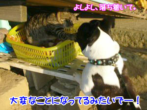 ¥Ü¥¯¤¬¤³¤³¤Î¤³¤È½ñ¤¤¤¿¤«¤é¤Ê¡¼