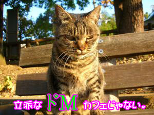 ¤½¤·¤Æ¥¢¥¿¥·¤Ï¥É£Ó¢ö
