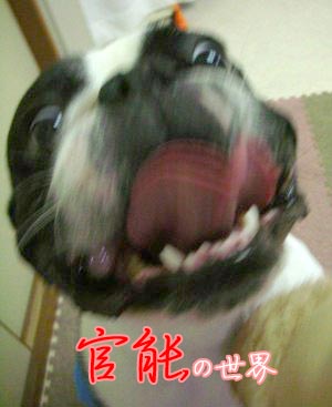 ޲ŽÔ¨¬¨¬¨¬¨¬(*¡¢Ï¡®)¨¬¨¬¨¬¨¬ŽÝ!!!!