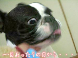·¯¤ò½é¤á¤Æ¸«¤¿¤È¤¡¦¡¦¡¦