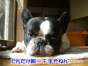 ¥Ü¥¯¤Î´é¤ÇÍ·¤Ð¤ó¤È¤¤¤Æ¤ó¤«¡¼¡£