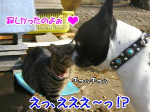 ¥Ñ¥ó¥Á¡ª¤È¤«¥¥Ã¥¯¡ª¤¸¤ã¤Ê¤¯¤Æ¡©¡©¡©