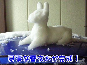 ¥¦¥µ¥®¤ß¤¿¤¤¤Ë¤â¸«¤¨¤ë¤±¤É¡¼¤Ã