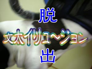 ¥×¥ê¥ó¥¹Ê¸ÂÀÅ·¸ù