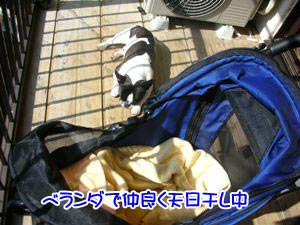 ¤Þ¤º¤Ï¥ª¥È¥â¥À¥Á¤«¤é¡£