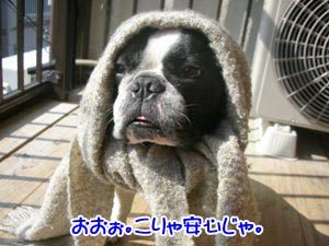 ¤¢¤ê¤¬¤¿¤ä¡¢¤¢¤ê¤¬¤¿¤ä¡Á¡£