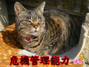 ¥¾¥¦¤Î¤Ï¤Ê¤³¤ÈƱ¤¸¤è¡£