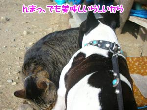 ¤¢¤ó¤¿¤Ë´íµ¡´ÉÍýǽÎϤ¬¤¢¤ë¤«¤É¤¦¤«
