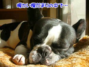 ¥Û¥«¥Û¥«¤Ç¡¦¡¦¡¦