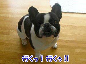¤¨¡ª¥Þ¥¸!?