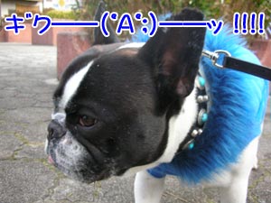 ¤Ä¤¤¤Ë¤Ð¤ì¤¿¡¼¡ª¡ª