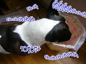 ¥Ë¥ª¥¤¥Á¥§¥Ã¥¯Ãæ¡Á¥Ë¥ª¥¤¥Á¥§¥Ã¥¯Ãæ¡Á