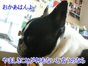 ¤Ä¤¤¤Ë¾Úµò¤ò¸«¤Ä¤±¤¿¤ê¡ª