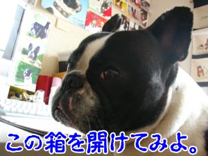 ¤¸¤Ã¤Á¤ã¤ó¤Î̾¤Ë¤«¤±¤Æ¡ª¡ª¡Ê¢«°ÕÌ£ÉÔÌÀ¡Ë
