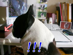 ¤³¤¤¤Ä¤«¡ª¡ª