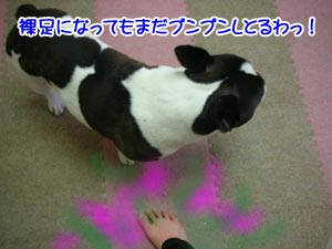 ¤½¤ì¤°¤é¤¤¤Ç¥Ë¥ª¥¤¤È¤ì¤ë¤«¤¤¤Ã¡ª
