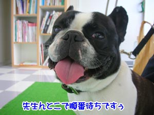 ¥É¥¥É¥¡Á
