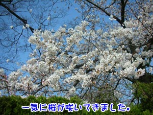 ¥¥ì¥¤¤ä¡Á