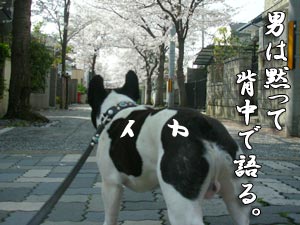 ´é¤Ï¥ä¥Ð¥¤¤è¡¢¥Ü¥Ç¥£¡¼¤Ë¤·¤Ê¡¢¥Ü¥Ç¥£¡¼¤Ë¤Ã