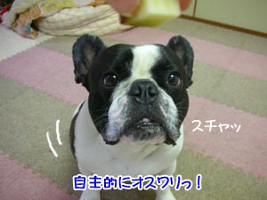 ¤½¤Î°ÌÃ֤ϡ֥ª¥¹¥ï¥ê¡×¤ä¤Ê¡£