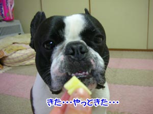 ¤½¤ì¤Ë¤·¤Æ¤â¡Ä