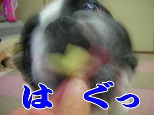 ¤ï¤ê¤ã¤¡¡¼¡¼¡¼¤Ã¡ª