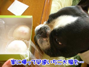 ¤Û¤ï¤Û¤ï¤ä¤¡¢ö