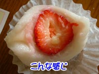 ¦²( Žß§¥Žß) ޽ޝޤ޽޹ŽÞް!!