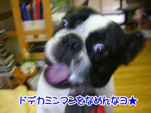 ¥Ü¥¯¤Î¾¡¤Á¤ä¡¼¡ª