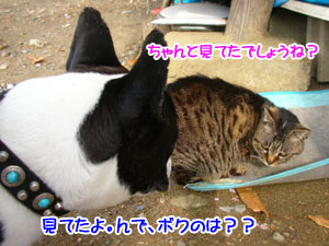 ¸«¤µ¤»¤Æ¤¤¤¿¤À¤¤Þ¤·¤¿¤È¤â¤è¡£